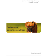 Opdracht pathologie 3: canine naso sinusale aspergillose