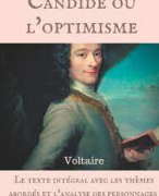 Boekverslag: Candide ou l'optimisme - Voltaire