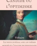 Candide ou l'optimisme samenvatting