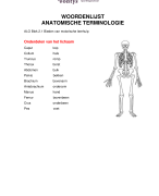 Anatomische terminologie