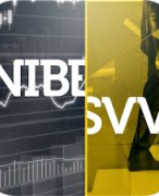Samenvatting WFT Basis NIBESVV