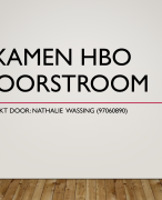 HBO Doorstroom Examen powerpoint Gezondheidszorg