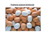 PO Scheikunde: Wat is het verschil in carbonaatgehalte van witte eierschalen ten opzichte van bruine eierschalen?