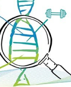 5VWO Biologie Samenvatting Genetica
