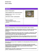 Soortenwijzer Dikstaartgerbil Dierverzorging