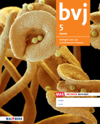 Samenvatting 4 havo H1,3,4 en 5 havo H1,2 BVJ. Handig voor je examen!