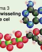 PowerPoint+ aantekeningen thema 1 Regeling Biologievoorjou VWO 5 Deel 1