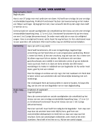 Plan Van Aanpak Syndroom van Down