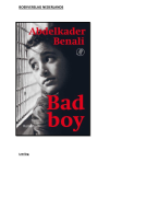 Volledig boekverslag Nederlands Bad Boy