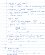 Handgeschreven aantekeningen van de hoorcolleges 1 t/m 7 (exclusief 8) van het gedeelte natuurkunde bij de cursus Wis- en natuurkunde 2