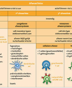 Samenvatting Biologie Afweer