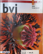 Havo 4 - hoofdstuk 3 - genetica 