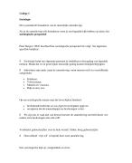 Sociale processen in het groot