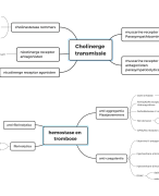 Schema's geneesmiddelen farmacologie partim 1