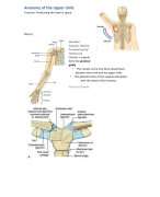 Anatomy of the Upper Limb v2 0