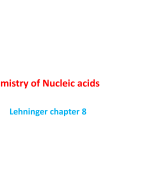 Understanding nucleic acids