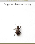 De gedaanteverwisseling - Franz Kafka.  VERHAALANALYSE