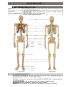 Anatomie deel 2 keynotes en samenvatting