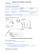 Anatomie: het ooronderzoek