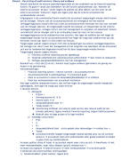 Samenvatting Auditing Theory - kortere versie