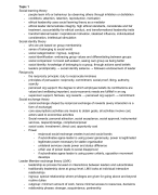 MSc BA - Theories of Leadership and Management