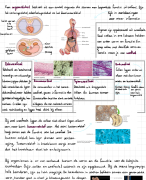 Biologie voor jou H1 Vwo 4 ‘Inleiding in de biologie’