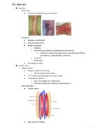 VRHv1 - LPC - Ulcus Cruris 
