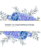Inzendopgave 254C3 opdracht 2: Arbeids- en Organisatiepsychologie