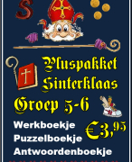 Sinterklaas Plusproject voor groep 5-6 