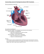 Samenvatting anatomie en fysiologie leerdoelen kennistoets OWE 2 (cijfer = 8,4)