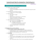 Samenvatting samenwerken binnen onderwijs