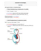 Anatomie en fysiologie: cardiovasculair stelsel 