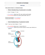 Samenvatting anatomie deel 1