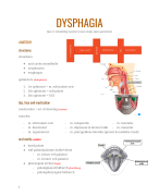 samenvatting OPO Dysphagia