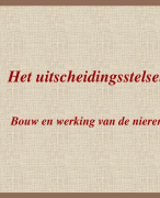Het uitscheidingsstelsel -onderlinge samenhang van de stelsel