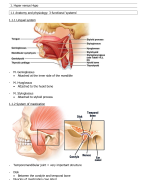 Samenvatting: Orofacial Myofunctional Disorders - Hypertonic OMD's / fase 3 Logopedie 