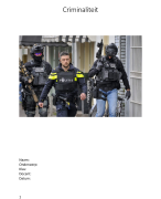 Verslag of werkstuk criminaliteit