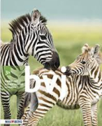 Biologie voor jou mavo 3/VMBO-gt 3 SAMENVATTINGEN VAN HEEL THEMA 6