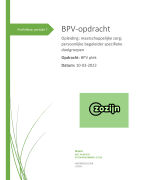 BPV-opdracht BPV-plek - IBO