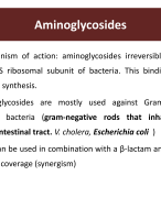 Aminoglycosides (antibiotic), pharmacology