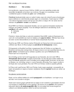 Samenvatting Het Verschijnsel Toerisme