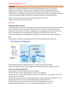 THK BA2 nieuwe curriculum RUG Samenvatting 2.1.2.