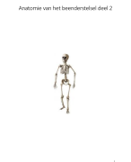 Samenvatting anatomie van het beenderstelsel deel 2