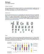 Biologie H3§1 Fenotype en genotype // 4 VWO