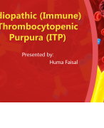Idiopathic (Immune) Thrombocytopenic Purpura (ITP)