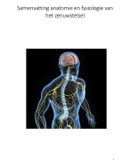 Samenvatting anatomie en fysiologie van het zenuwstelsel