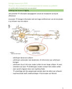 bilogie: uit welke delen bestaat het zenuwstelsel, soorten neuronen en zenuwen, impulsgeleiding, impulsoverdracht tussen neuronen