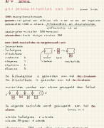 Samenvatting H4 DNA, 5vwo BVJ