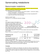 Samenvatting BMW moleculen, metabolisme UU 2022/2023