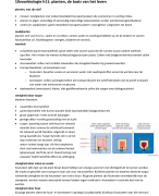 biologie vwo6 planten, de basis van het leven